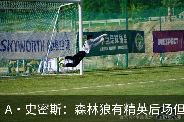 A·史密斯：森林狼有精英后场但体型变小 难应对雷霆马刺火箭掘金